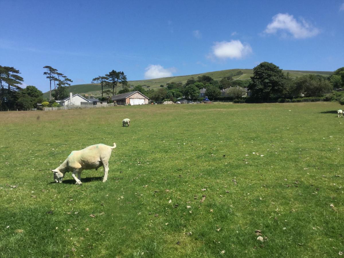 Plas Y Nant Llwyngwril Esterno foto